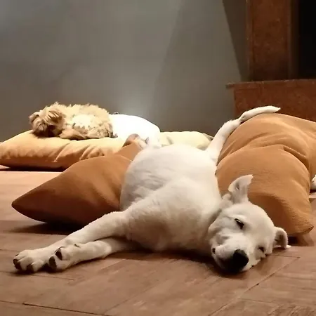 Διαμέρισμα Beau Maison